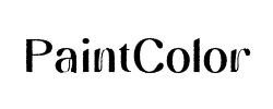 PaintColor - logo